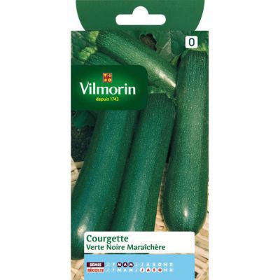 Graines de Courgette Verte noire maraîchère