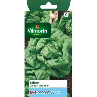 Graines de Laitue Pommée du Bon Jardinier