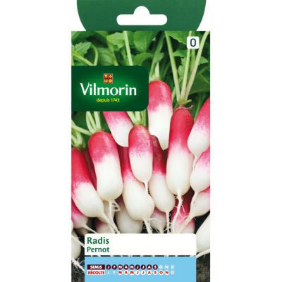 Graines de Radis Pernot Vilmorin