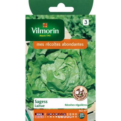 Graines de Laitue Pommée Sagess