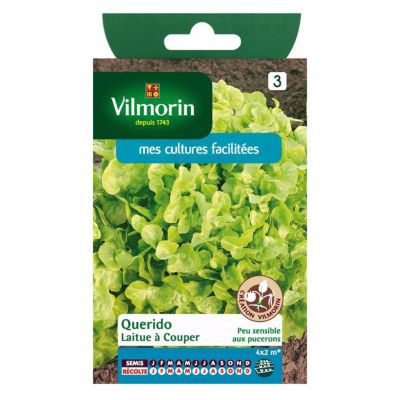 Graines de Laitue à couper Querido