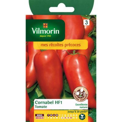 Graines de Tomate Cornabel Hybride F1