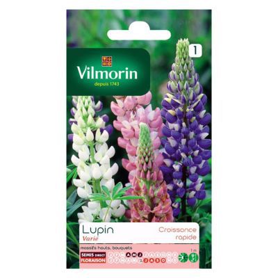 Graines de Lupin annuel en mélange Vilmorin