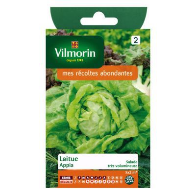 Graines de Laitue Pommée Appia