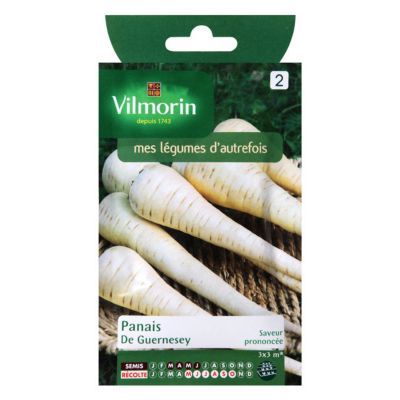 Graines de Panais de Guernesey