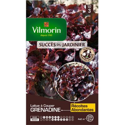 Graines de Laitue à couper Grenadine