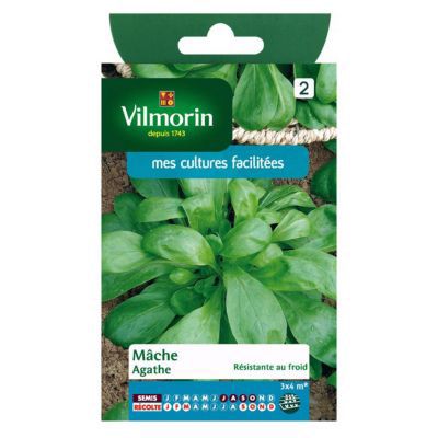 Graines de Mâche Agathe