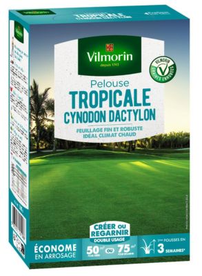 Pelouse Tropicale - Cynodon Dactylon - 500 g - Vilmorin