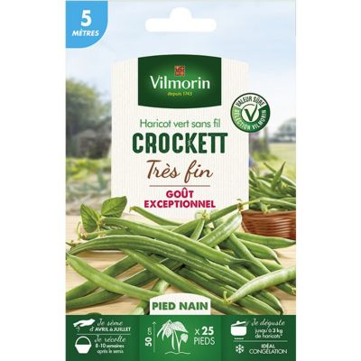 Graines de Haricot vert Crockett 20m