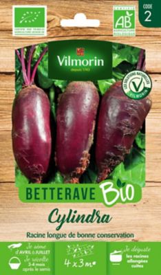 Graines de betterave Cylindra bio VL 2