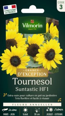Graines de Tournesol Suntastic F1 VL3