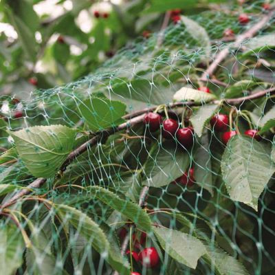 Lot de 2 filets de protection oiseaux vert 2 x 10 m