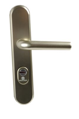 Poignée blindée Manhattan doré Bricard