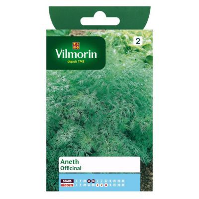 Graines d'Aneth Officinal