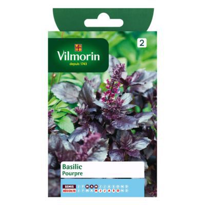 Graines de Basilic Pourpre Vilmorin