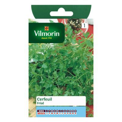 Graines de Cerfeuil Frisé