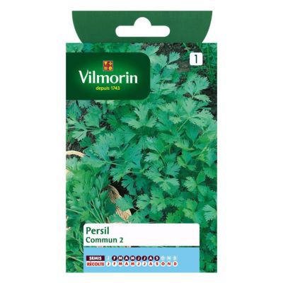 Graines de Persil Commun 2 Vilmorin