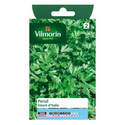 Graines de Persil Géant d'Italie