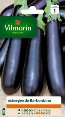 Graines d'Aubergine de Barbentane Vilmorin