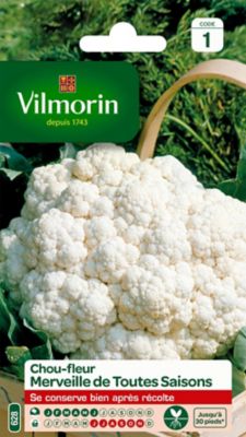 Graines de Chou Fleur Merveille Toutes Saisons