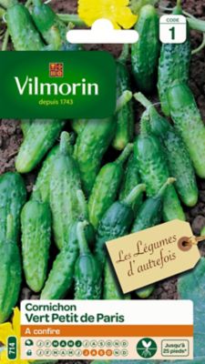 Graines de Cornichon Vert Petit de Paris Vilmorin