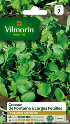 Graines de Cresson de Fontaine à Larges Feuilles Vilmorin