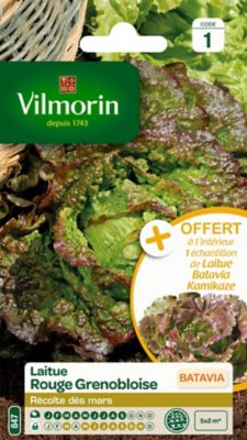 Graines de Laitue Batavia Rouge Grenobloise Vilmorin