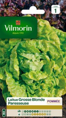 Graines de Laitue Grosse Blonde Paresseuse Vilmorin