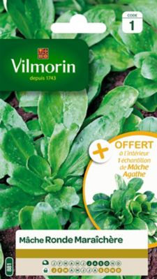 Graines de Mâche Ronde Maraîchère Vilmorin