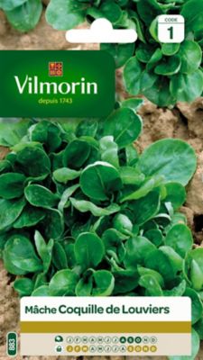 Graines de Mâche Verte de Louviers Vilmorin