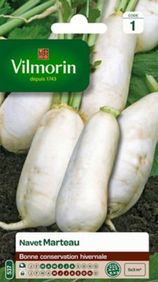 Graines de Navet Marteau Vilmorin