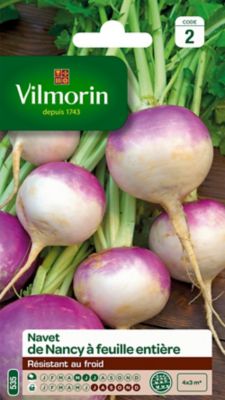Graines de Navet de Nancy Vilmorin