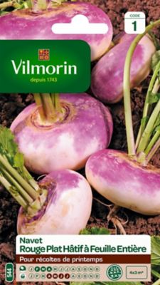 Graines de Navet Rouge Plât Hâtif Vilmorin