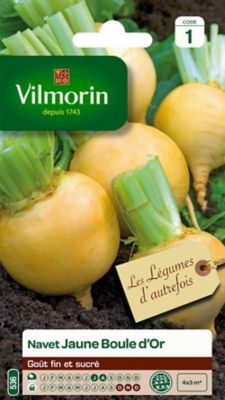 Graines de Navet Jaune Boule d'Or Vilmorin