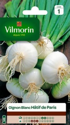 Graines d'Oignon Blanc Hatif de Paris Vilmorin
