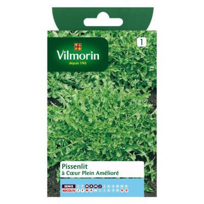 Graines de Pissenlit à Coeur Plein Amélioré Vilmorin