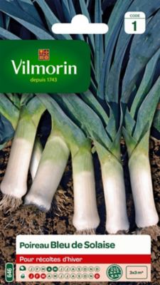 Graines de Poireau Bleu de Solaise Vilmorin