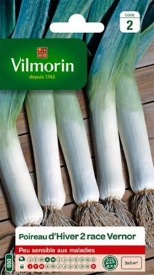 Graines de Poireau d'Hiver Race Vernor Vilmorin