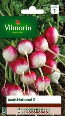 Graines de Radis National Vilmorin