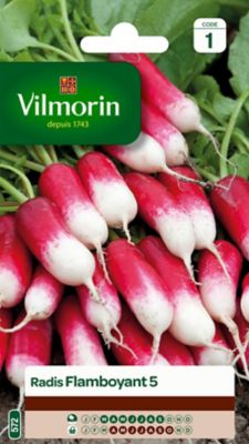 Graines de Radis Flamboyant Vilmorin