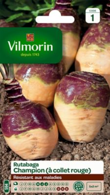 Graines de Rutabaga Jaune à Collet Rouge Vilmorin