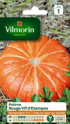 Graines de Potiron Rouge Vif d'Etampes Vilmorin