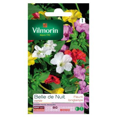 Graines de Belle de Nuit Variée Vilmorin