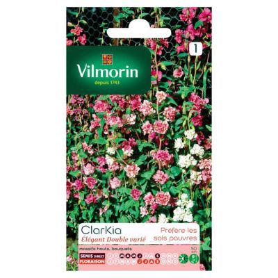 Graines de Clarkia Elégant Double Varié Vilmorin