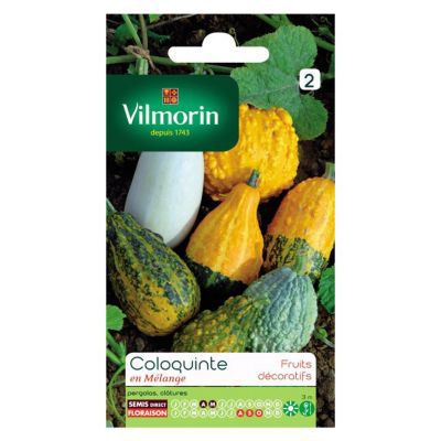 Graines de Coloquinte en Mélange Vilmorin