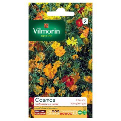 Graines de Cosmos Sulphureus Varié Vilmorin