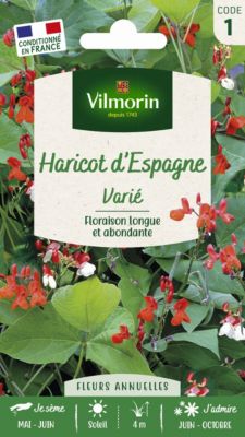 Graines de Haricot d'Espagne varié Vilmorin