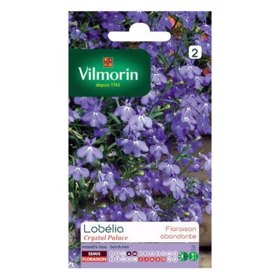 Graines de Lobélia Crystal Palace Vilmorin