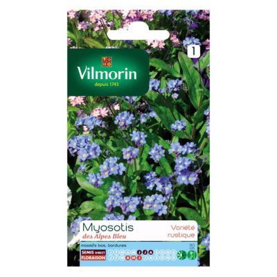 Graines de Myosotis des Alpes Bleu Vilmorin