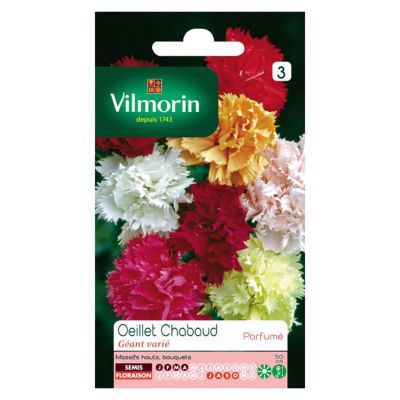 Graines d'Oeillet Chabaud Géant Varié Vilmorin